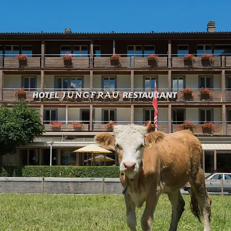 Jungfrau Hotel-3