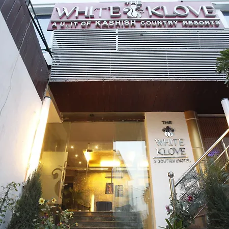 The White Klove-3
