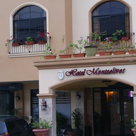Hotel Monteolivos-2