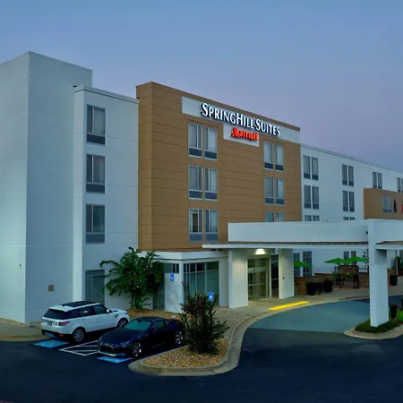 Springhill Suites By Marriott Macon-3