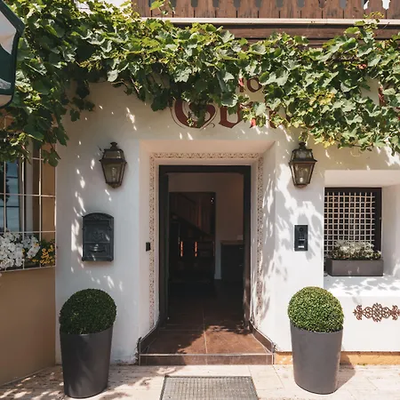 Villa Sonnenhof Boutique-Hotel-2