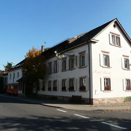 Hotel Hirsch-3