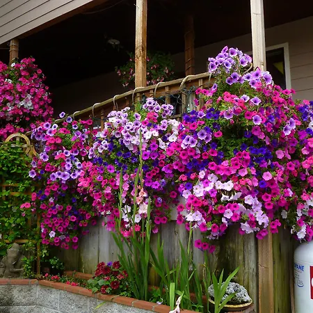 Tradewinds Motel-2