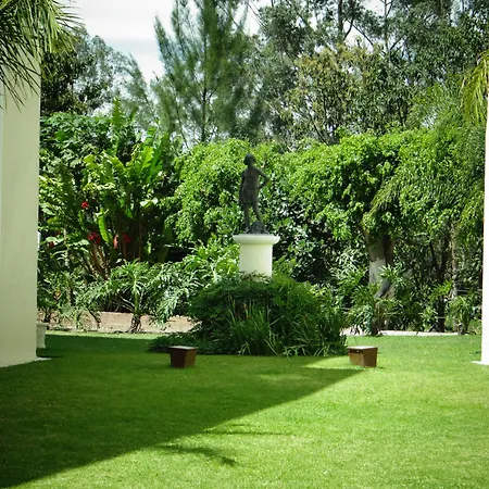 Hotel Las Palomas Express-3