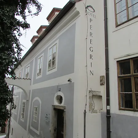 Hotel Peregrin-2