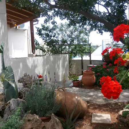 Hotel Eliza-2