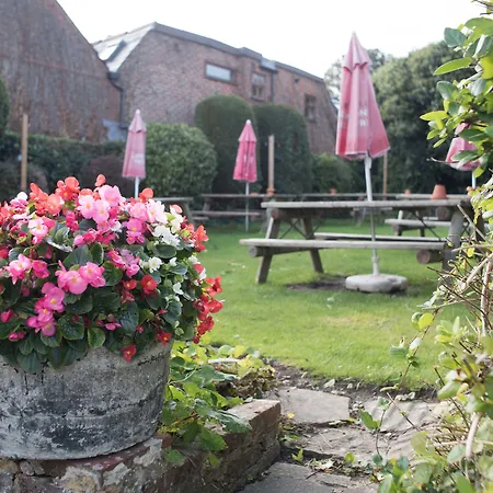 The Village House-3