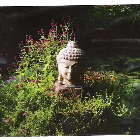 Hotel Zen-3