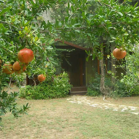 Kibala Hotel-2