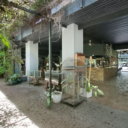 Daintree Wild Bed & Breakfast-3