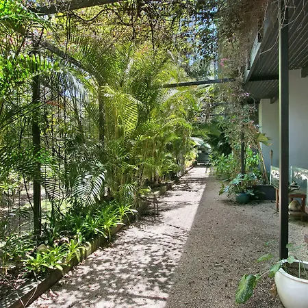 Daintree Wild Bed & Breakfast-2