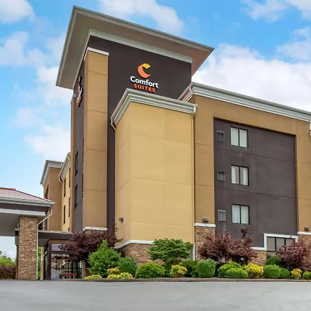 Comfort Suites Kingsport South-3