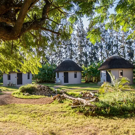 Addo African Home-3
