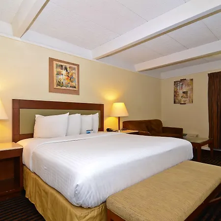 Lexington Inn & Suites-Elgin-3