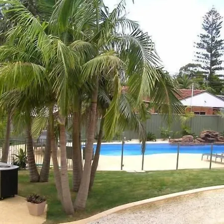 Koala Tree Motel-2
