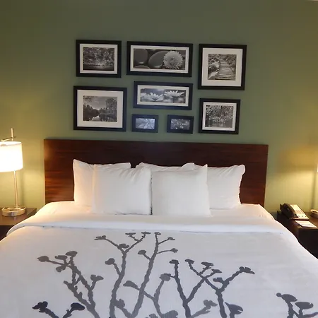 Sleep Inn & Suites Evergreen I-65-2
