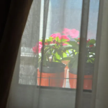 Mini hotel-3