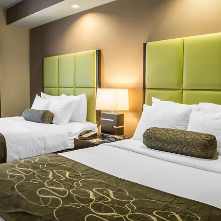 Comfort Suites New Bern Near Cherry Point-2