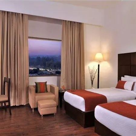 Comfort Inn Tulip Heights-3