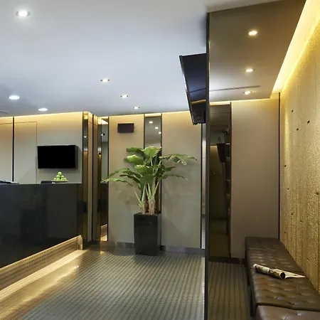 Hotel 81 Gold-2