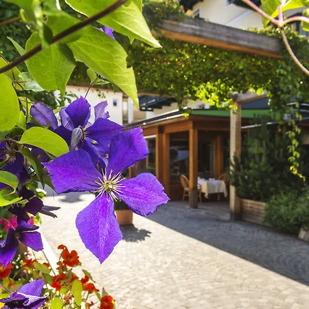 Hotel Drumlerhof-2