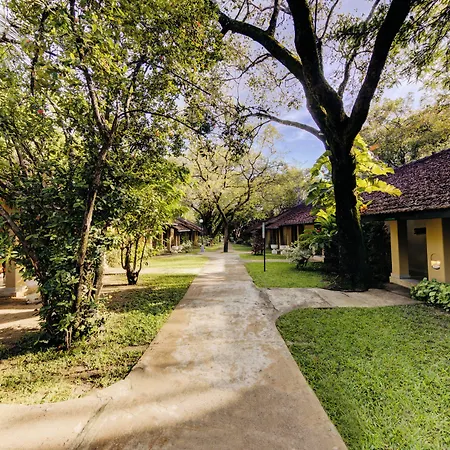 Habarana Village By Cinnamon-3