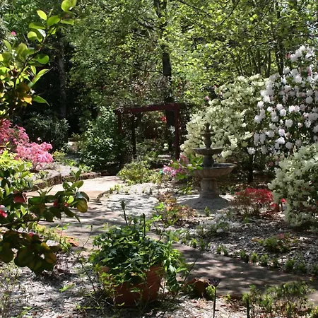 Kubba Roonga Guesthouse - Boutique Luxury Spa Retreat & Gardens - Blue Mountains-3