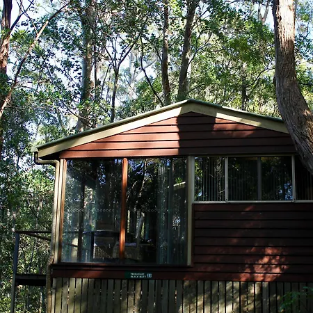 Kondalilla Eco Resort-2