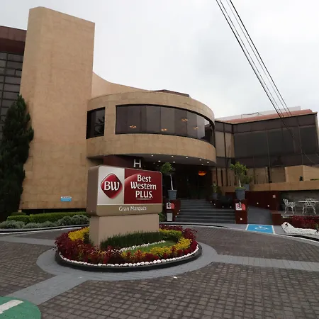 Best Western Plus Gran Marques-2