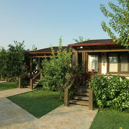 Sedir Resort - Hotel Rooms, Bungalows & Suites-3