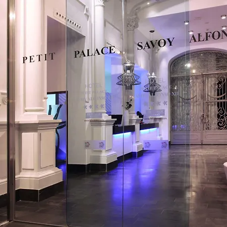 Petit Palace Savoy Alfonso XII-3