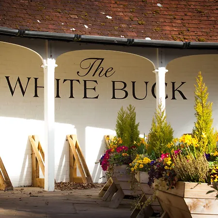 The White Buck-2