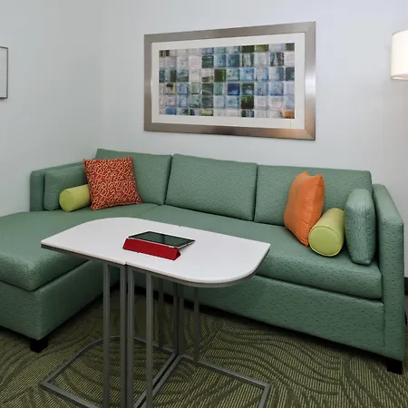 Springhill Suites By Marriott Lafayette South At River Ranch-3