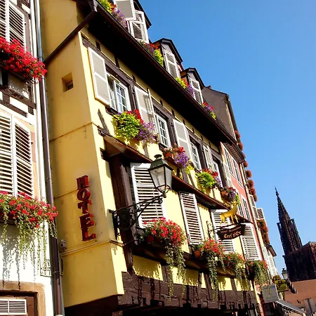 Logis Hotel Restaurant Au Cerf D'Or-2