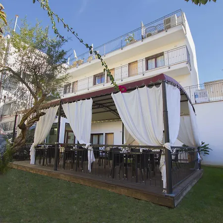 Hotel Domomea-3