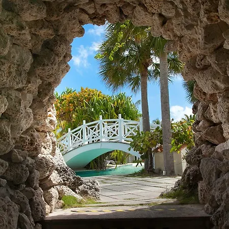 The Marlin At Taino Beach Resort-2