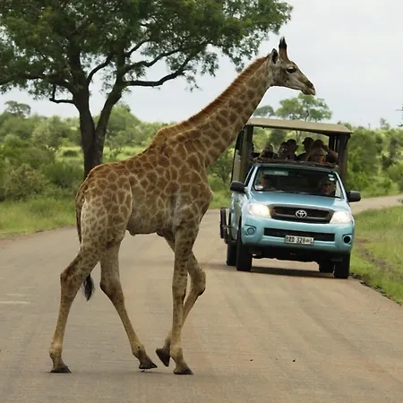 Kubu Safari Lodge-2