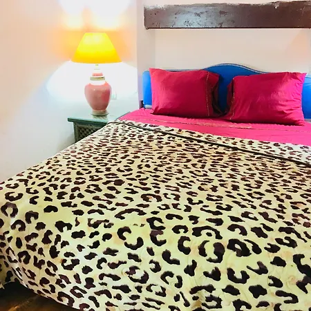 Riad Dar Zayna & Spa-2