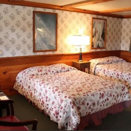 White Trellis Motel-3