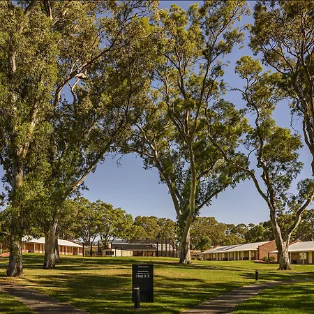 Serafino Mclaren Vale-2