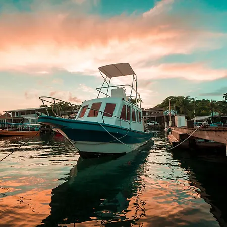 Splash Inn Dive Resort & Villas-3