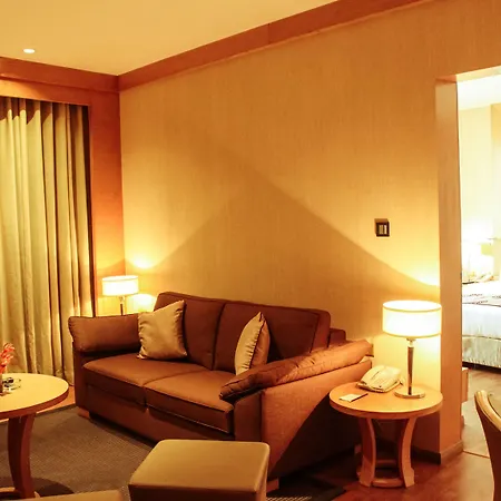 Radisson Blu Hotel New Delhi Dwarka-3