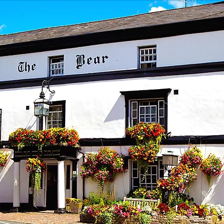 Bear Crickhowell-2