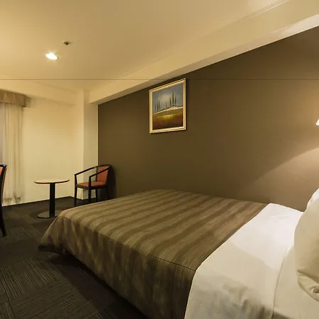 Ark Hotel Osaka Shinsaibashi -Route Inn Hotels--3