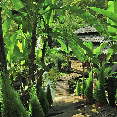 Fig Tree Hills Resort-2