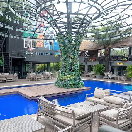 The Blowfish Hotel-2