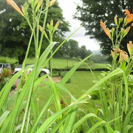 Brambles Bed And Breakfast-3