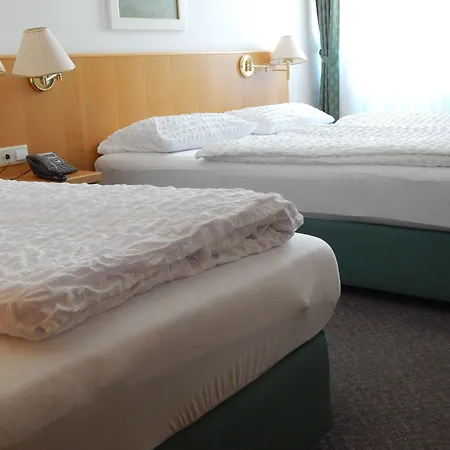 Hotel Alpina-2