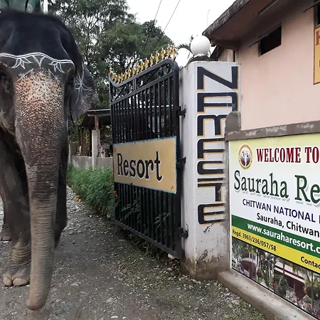 Sauraha Resort-2