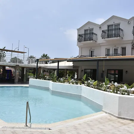 Magic Tulip Hotel-3